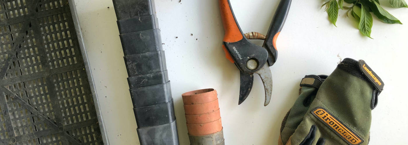 Featured Image for Aigaevalu Vaiaoga